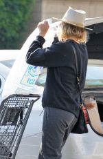 MALIN AKERMAN at a Gas Station and Out Shopping in Los Angeles 12/31/2018