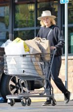MALIN AKERMAN at a Gas Station and Out Shopping in Los Angeles 12/31/2018