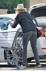 MALIN AKERMAN at a Gas Station and Out Shopping in Los Angeles 12/31/2018