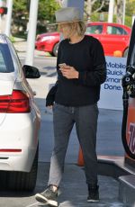 MALIN AKERMAN at a Gas Station and Out Shopping in Los Angeles 12/31/2018