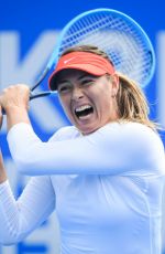 MARIA SHARAPOVA at Brisbane International Tennis 01/02/2019