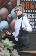 MELANIE GRIFFITH Out Shopping in Los Angeles 01/12/2019
