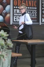 MELANIE GRIFFITH Out Shopping in Los Angeles 01/12/2019