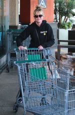 MELANIE GRIFFITH Shopping at Erewhon Natural Foods Market in West Hollywood 01/09/2019