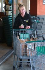 MELANIE GRIFFITH Shopping at Erewhon Natural Foods Market in West Hollywood 01/09/2019