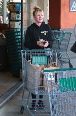 MELANIE GRIFFITH Shopping at Erewhon Natural Foods Market in West Hollywood 01/09/2019