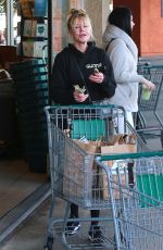 MELANIE GRIFFITH Shopping at Erewhon Natural Foods Market in West Hollywood 01/09/2019