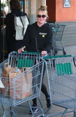 MELANIE GRIFFITH Shopping at Erewhon Natural Foods Market in West Hollywood 01/09/2019