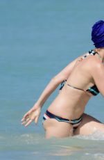MEREDITH OSTROM in Bikini at a Beach in Barbados 01/15/2019
