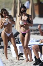 METISHA SCHAEFER in Bikini at a Beach in Miami 01/12/2019