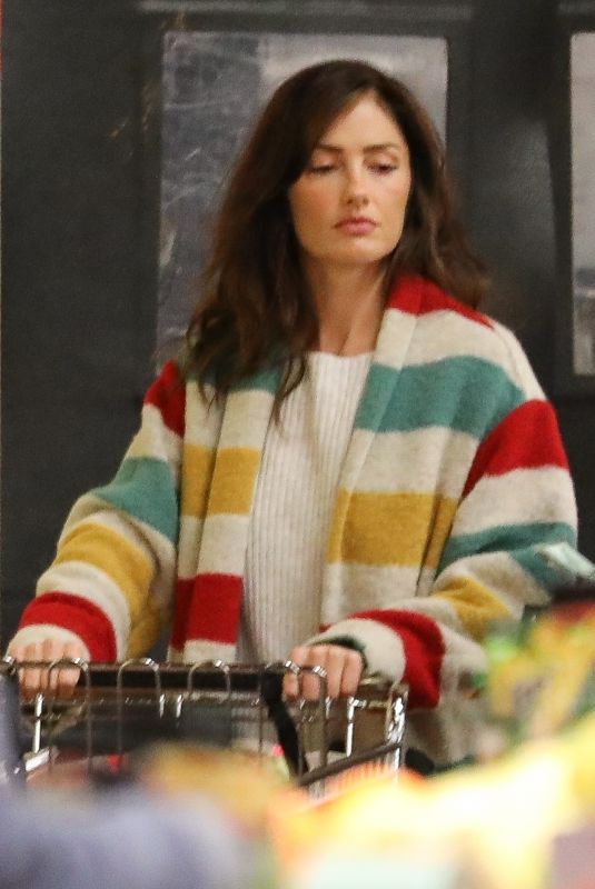 MINKA KELLY Out Shopping in West Hollywood 01/14/2019