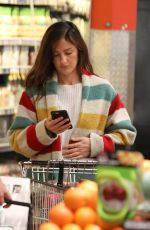 MINKA KELLY Out Shopping in West Hollywood 01/14/2019