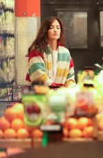 MINKA KELLY Out Shopping in West Hollywood 01/14/2019