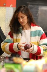 MINKA KELLY Out Shopping in West Hollywood 01/14/2019