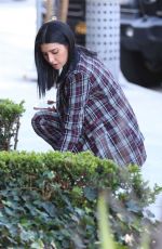 NICOLE WILLIAMS at Zinque Cafe in West Hollywood 01/23/2019