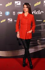 PENELOPE CRUZ at Dias de Cine Awards in Madrid 1/15/19