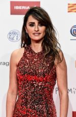 PENELOPE CRUZ at Jose Maria Forque Awards in Zaragoza 01/12/2019