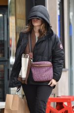 RACHEL BILSON Shopping at Paper Source in Studio City 01/15/2019