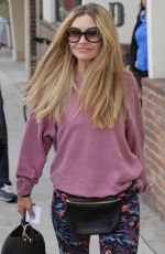 REBECCA GAYHEART Out in Beverly Hills 01/29/2019