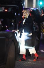 RITA ORA at LAX Airport in Los Angeles 01/25/2019
