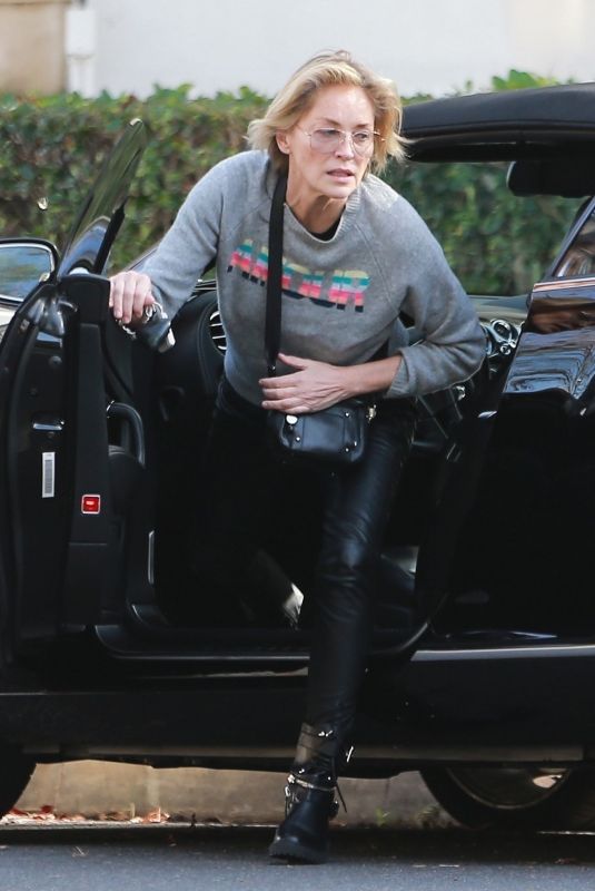 SHARON STONE Out in Los Angeles 010/18/2019