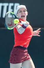 SIMONA HALEP at 2019 Sydney International Tennis 01/10/2019