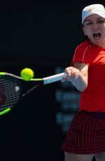 SIMONA HALEP at 2019 Sydney International Tennis 01/10/2019