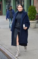 SOPHIA BUSH Out in New York 01/09/2019