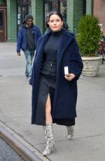 SOPHIA BUSH Out in New York 01/09/2019