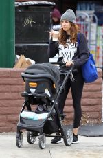 TROIAN BELLISARIO Out Shopping in Los Angeles 01/15/2019