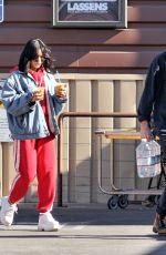 VANESSA HUDGENS and Austin Butler Out Shopping in Los Angeles 01/02/2019