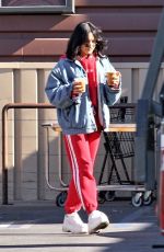 VANESSA HUDGENS and Austin Butler Out Shopping in Los Angeles 01/02/2019