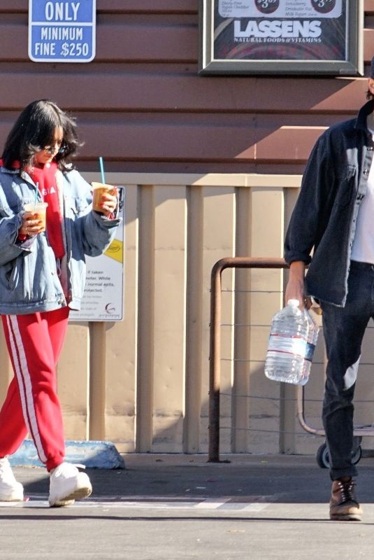 VANESSA HUDGENS and Austin Butler Out Shopping in Los Angeles 01/02/2019
