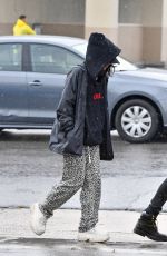 VANESSA HUDGENS Leaves a Coffee Shop in Los Angeles 01/12/2019