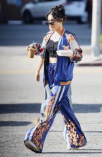 VANESSA HUDGENS Out and About in Los Feliz 01/10/2019