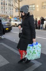 ABIGAIL SPENCER Arrives at Mark Hotel in New York 02/19/2019