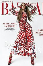 ALESSANDRA AMBROSIO in Harper