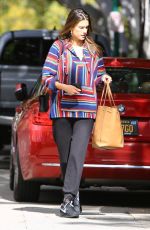 ALESSANDRA AMBROSIO Out and About in Santa Monica 02/17/2019