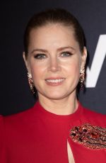 AMY ADAMS at Vice Paris Premiere in Paris 02/07/2019