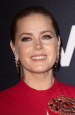 AMY ADAMS at Vice Paris Premiere in Paris 02/07/2019