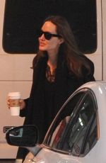 ANGELINA JOLIE Out and About in New York 02/23/2019
