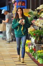 ASHLEY GREENE Out for Grocery Shopping in Los Angeles 02/05/2019