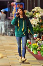 ASHLEY GREENE Out for Grocery Shopping in Los Angeles 02/05/2019