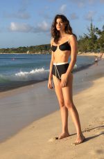 CAIRO DWEK in Bikini on the Beach in Barbados 02/13/2019
