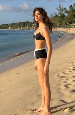 CAIRO DWEK in Bikini on the Beach in Barbados 02/13/2019