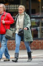 CAMERON DIAZ Out and About in New York 02/15/2019