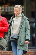 CAMERON DIAZ Out and About in New York 02/15/2019