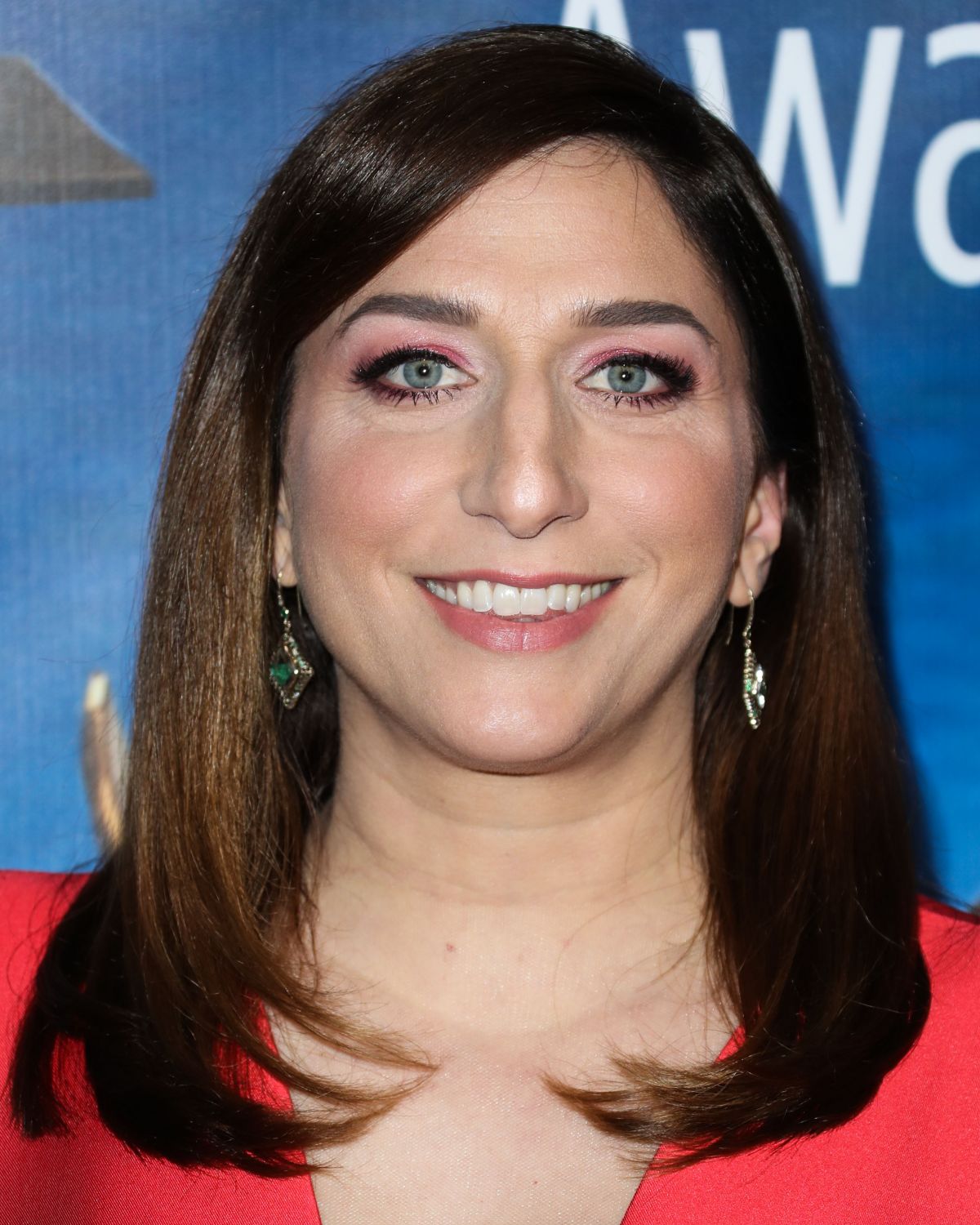 CHELSEA PERETTI at Writers Guild Awards in Los Angles 02/17/2019