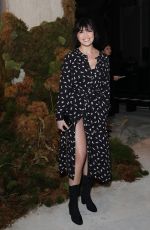 DAISY LOWE at Alexa Chung Show at London Fashion Week 02/16/2019