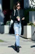 DAKOTA JOHNSON and ROISIN DONNELLY Out for Juice in West Hollywood 02/06/2019
